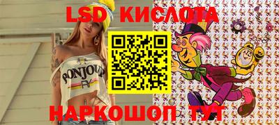 хмурый Сланцы