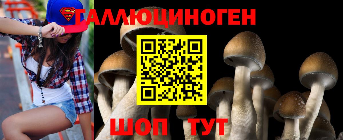 Галлюциногенные грибы GOLDEN TEACHER Ноябрьск