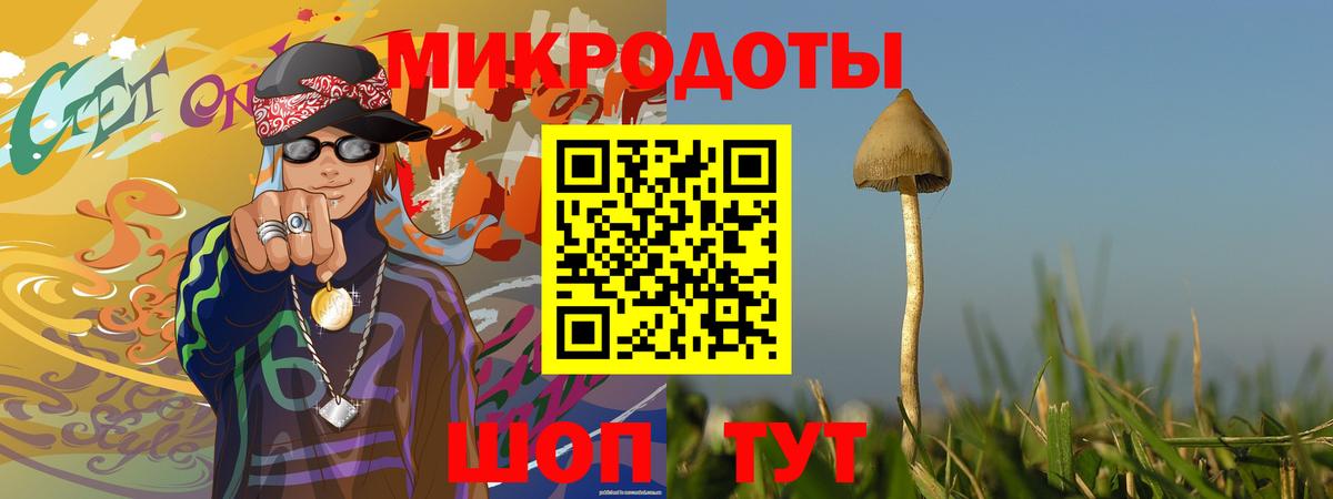 Ноябрьск  Псилоцибиновые грибы MAGIC MUSHROOMS  Вход с VPN 